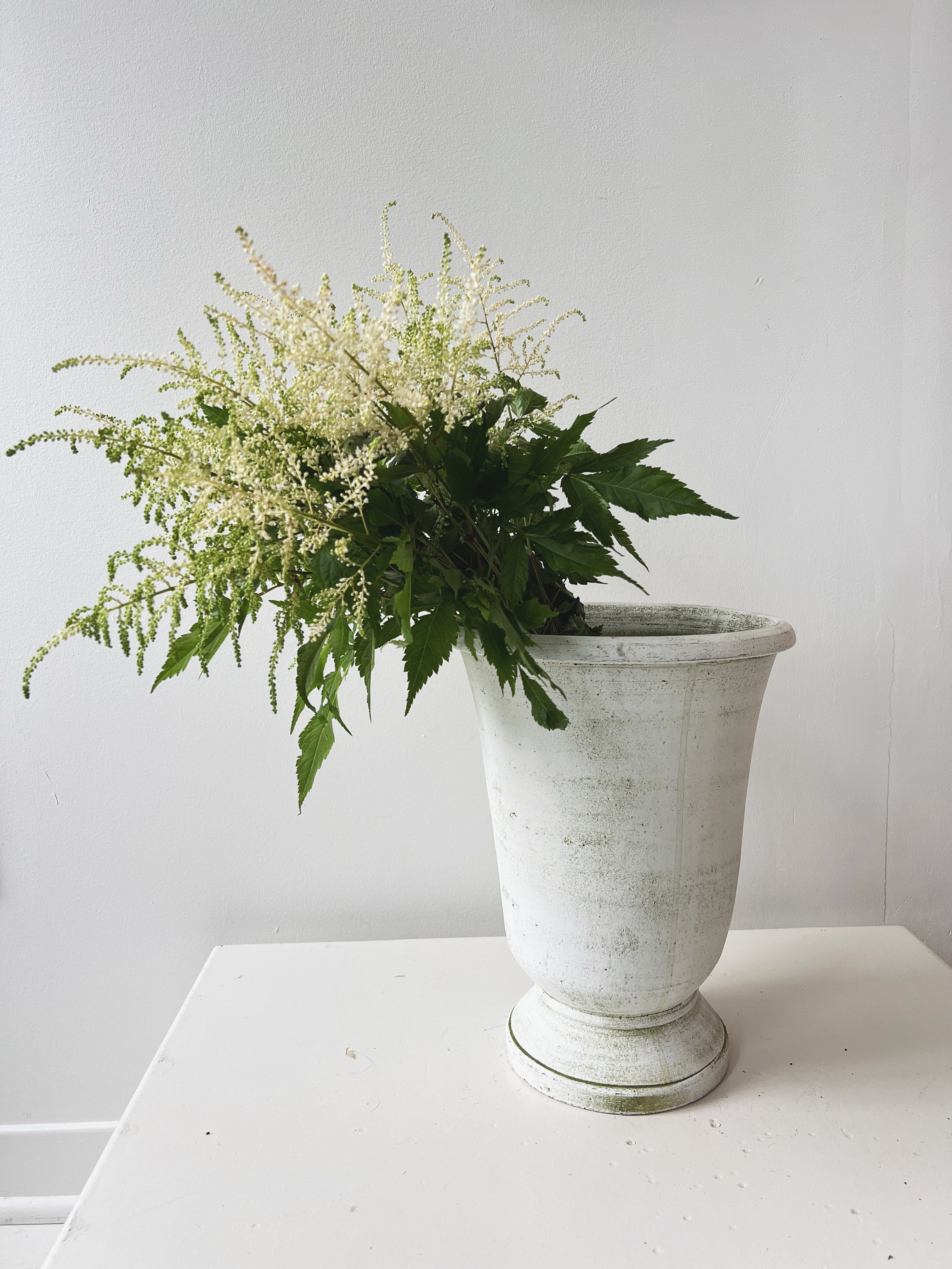 Potier Cachepot