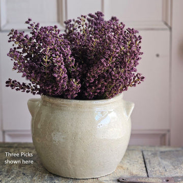Plum Astilbe Bush Pick