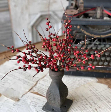 Red Berry Branch Bush