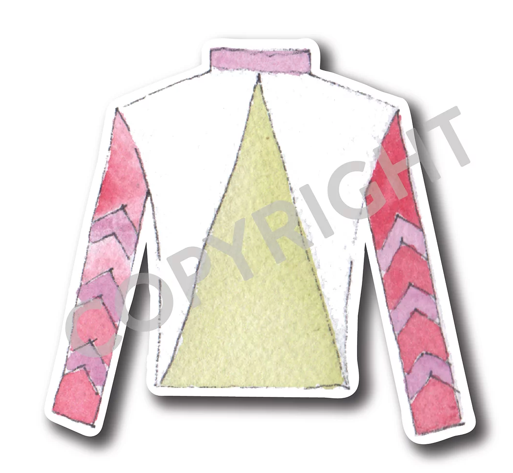 Only Available for Louisville Drop Off - Jockey Silk Yard Art