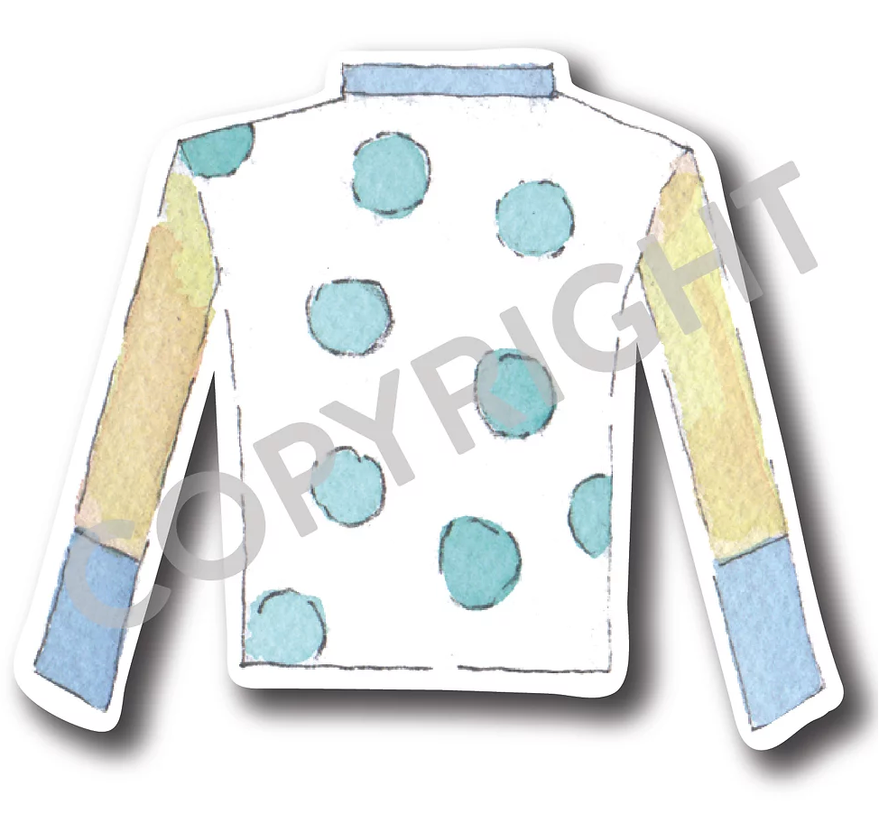 Only Available for Louisville Drop Off - Jockey Silk Yard Art