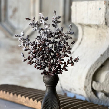 Snowy Seed Pods Bush