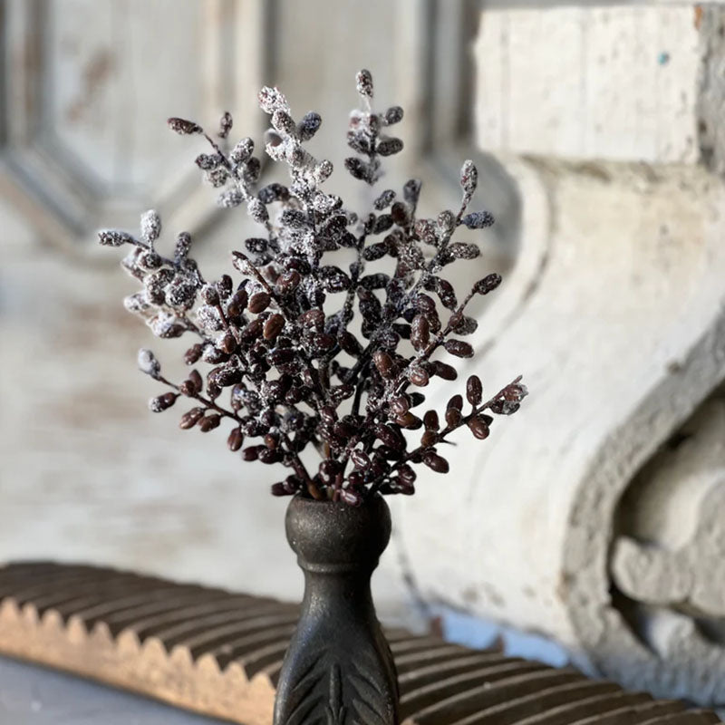 Snowy Seed Pods Bush