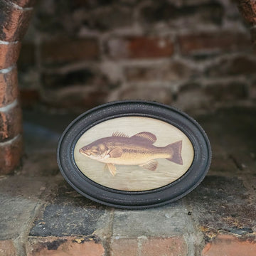 Vintage Style Bass Fish in Black Frame