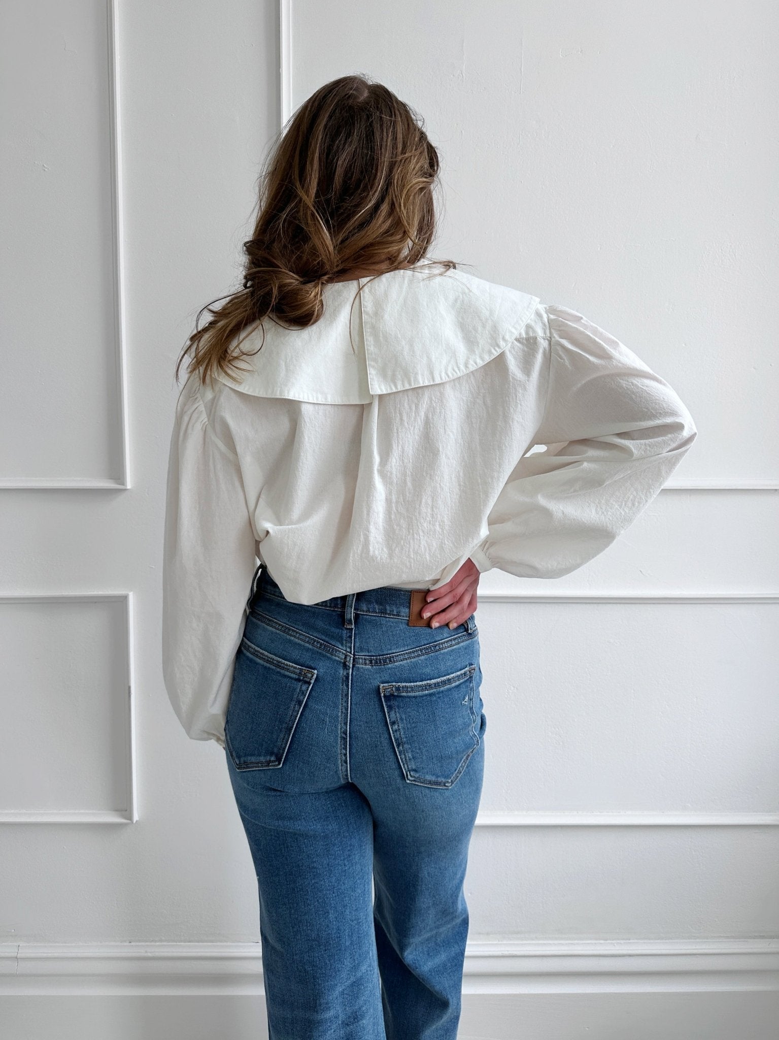 Big Collar Blouse