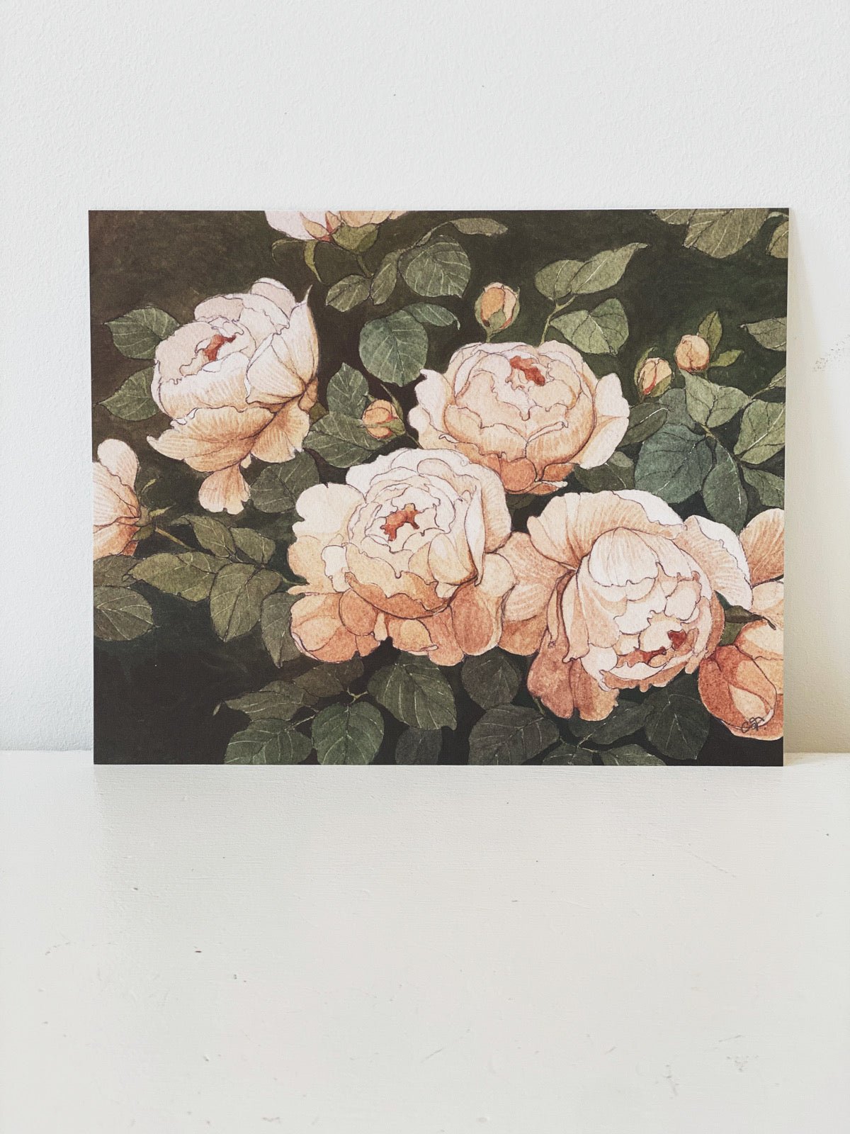 Carleigh Courey 11 x 14 Print