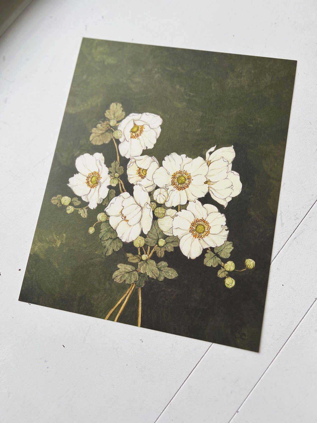 Carleigh Courey 8x10 Art Print