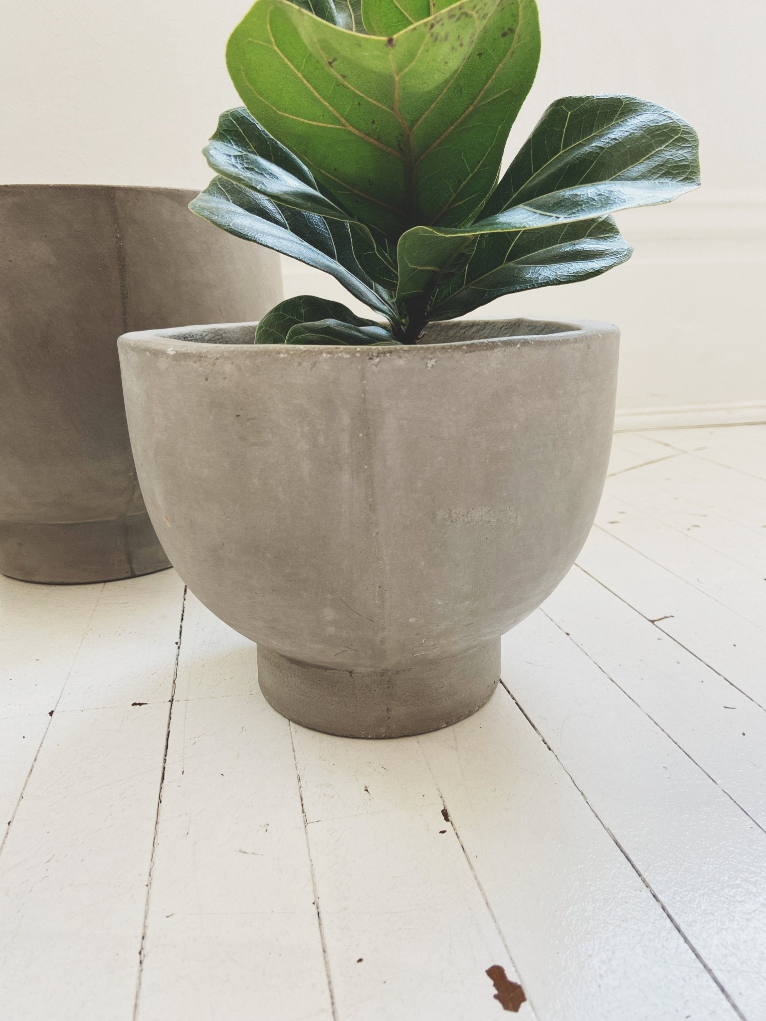 Cement Newport Compote
