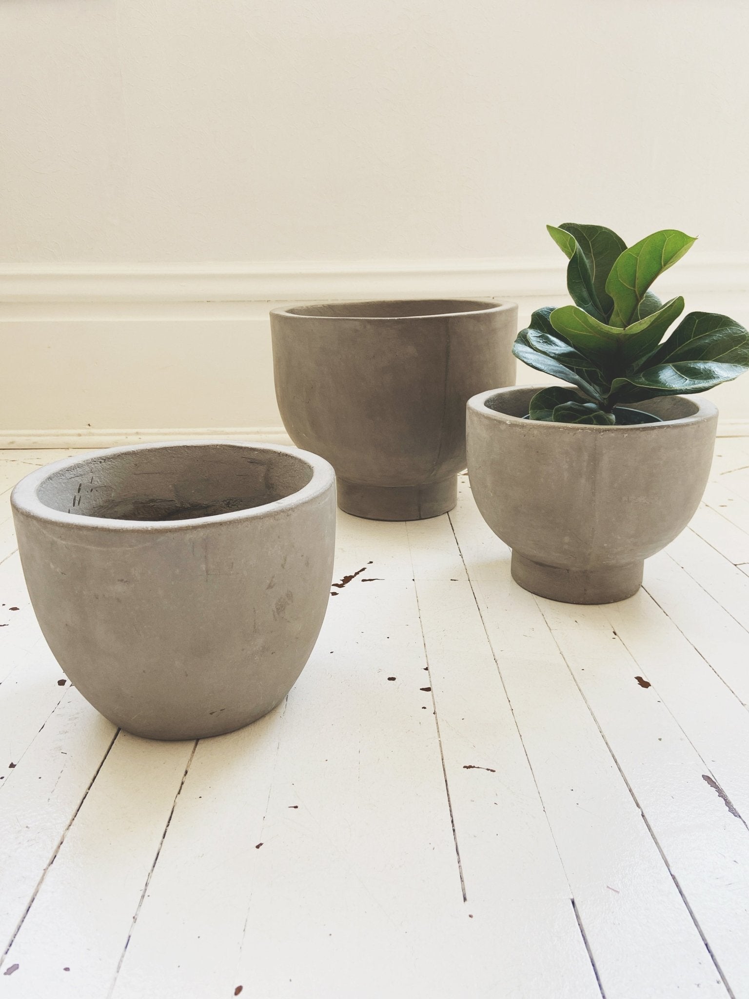 Cement Newport Compote