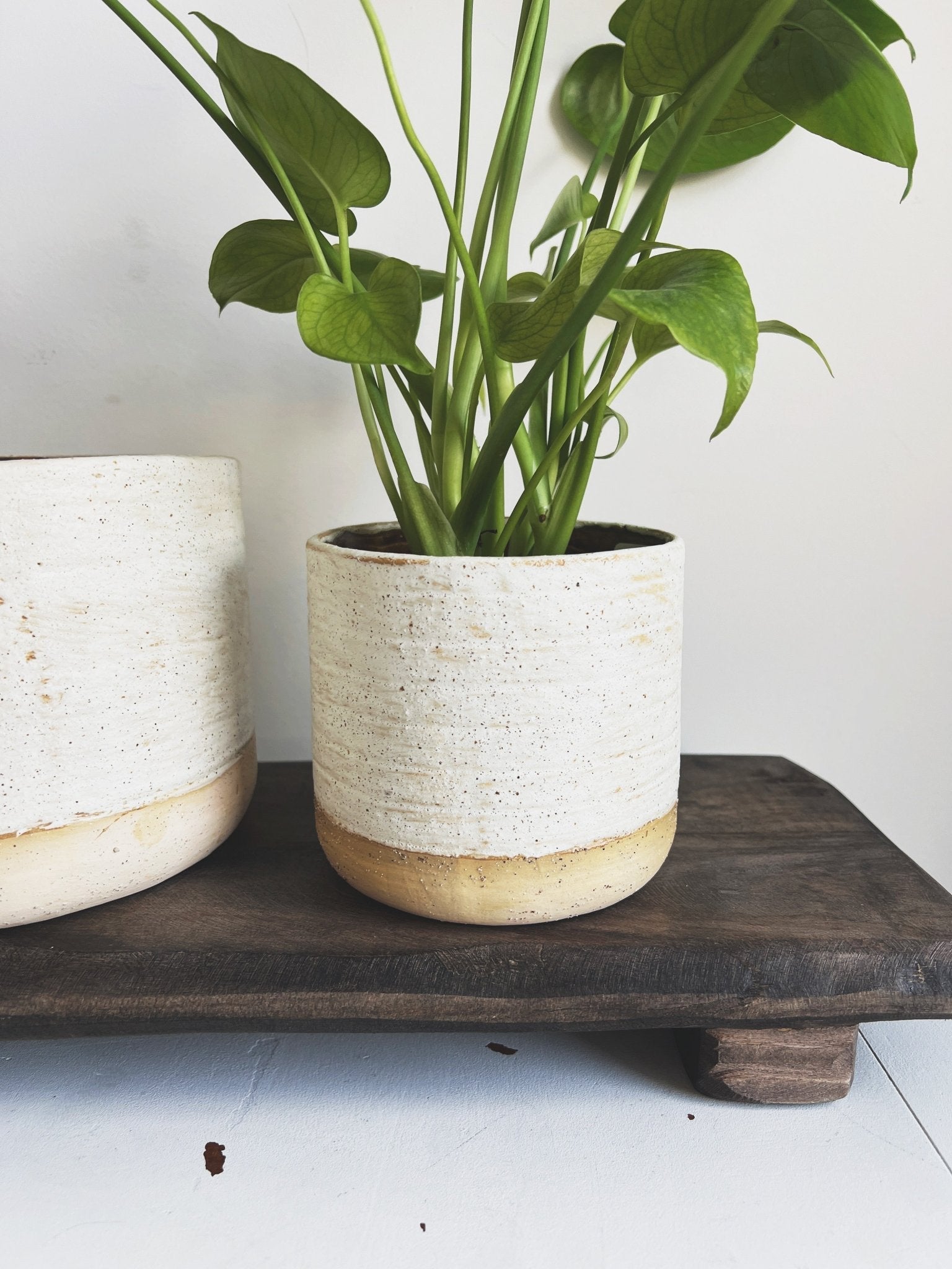 Ceramic Artisan Pot