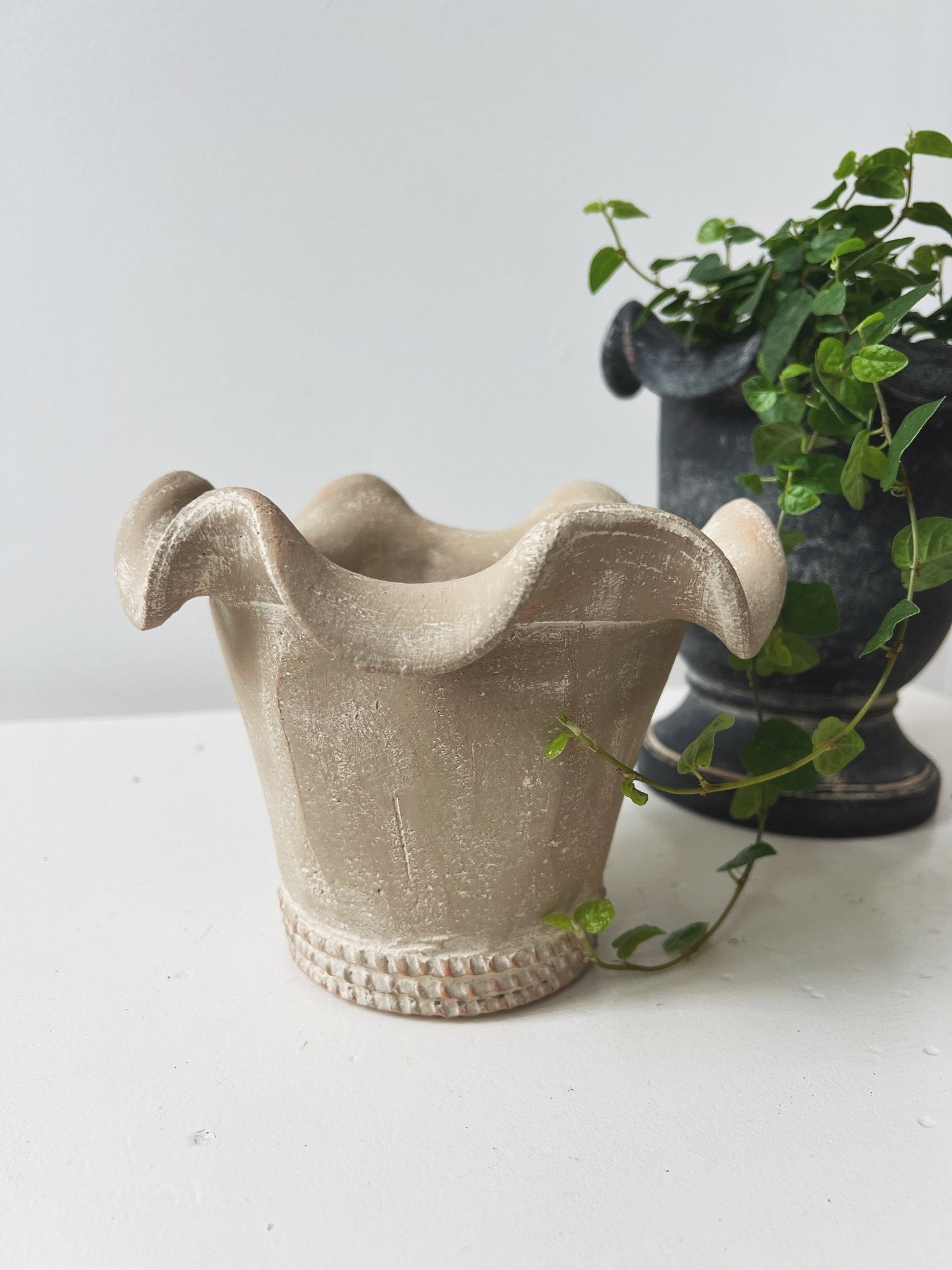 Chantecler Cachepot
