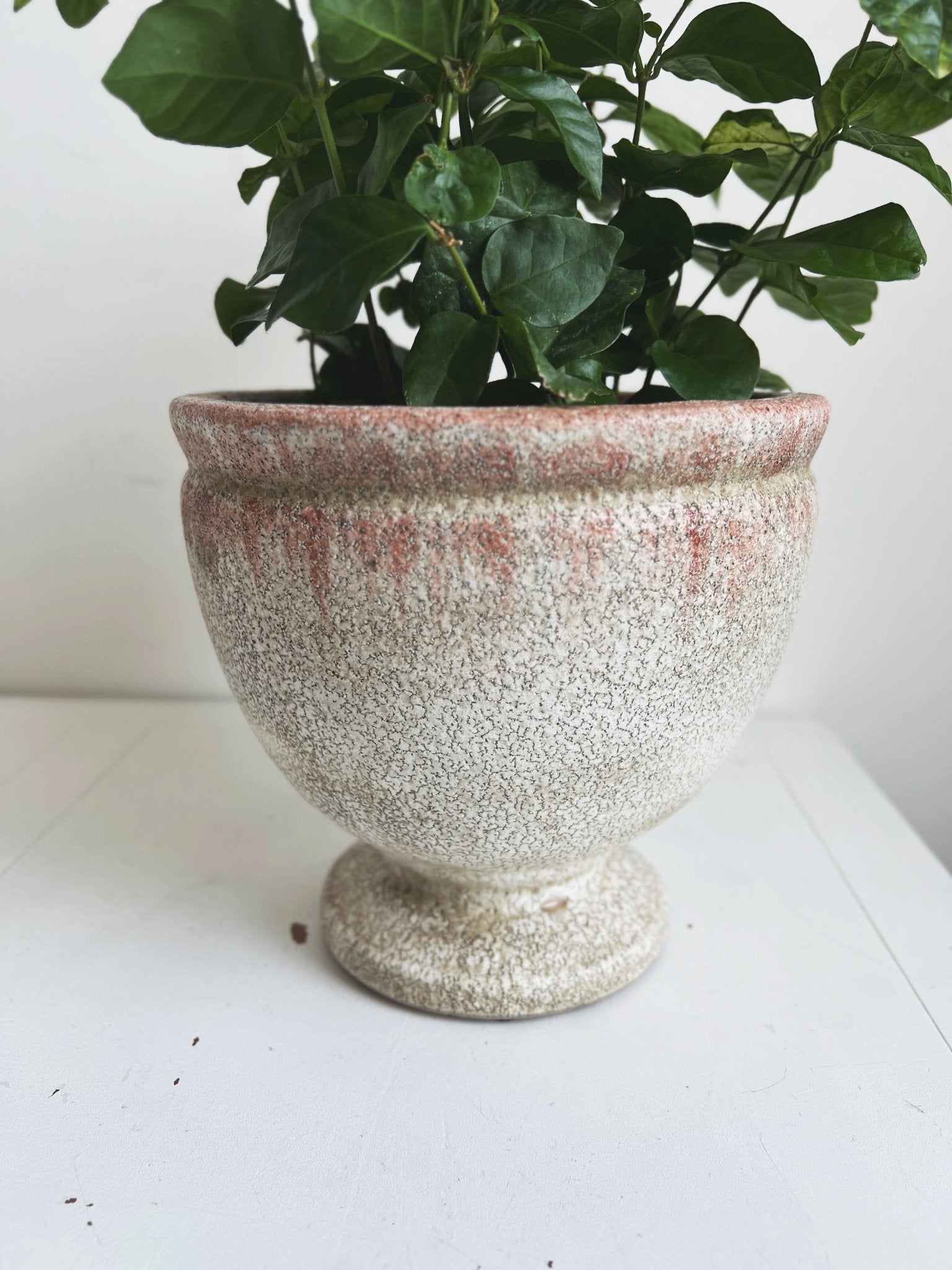 Distressed Footed Planter