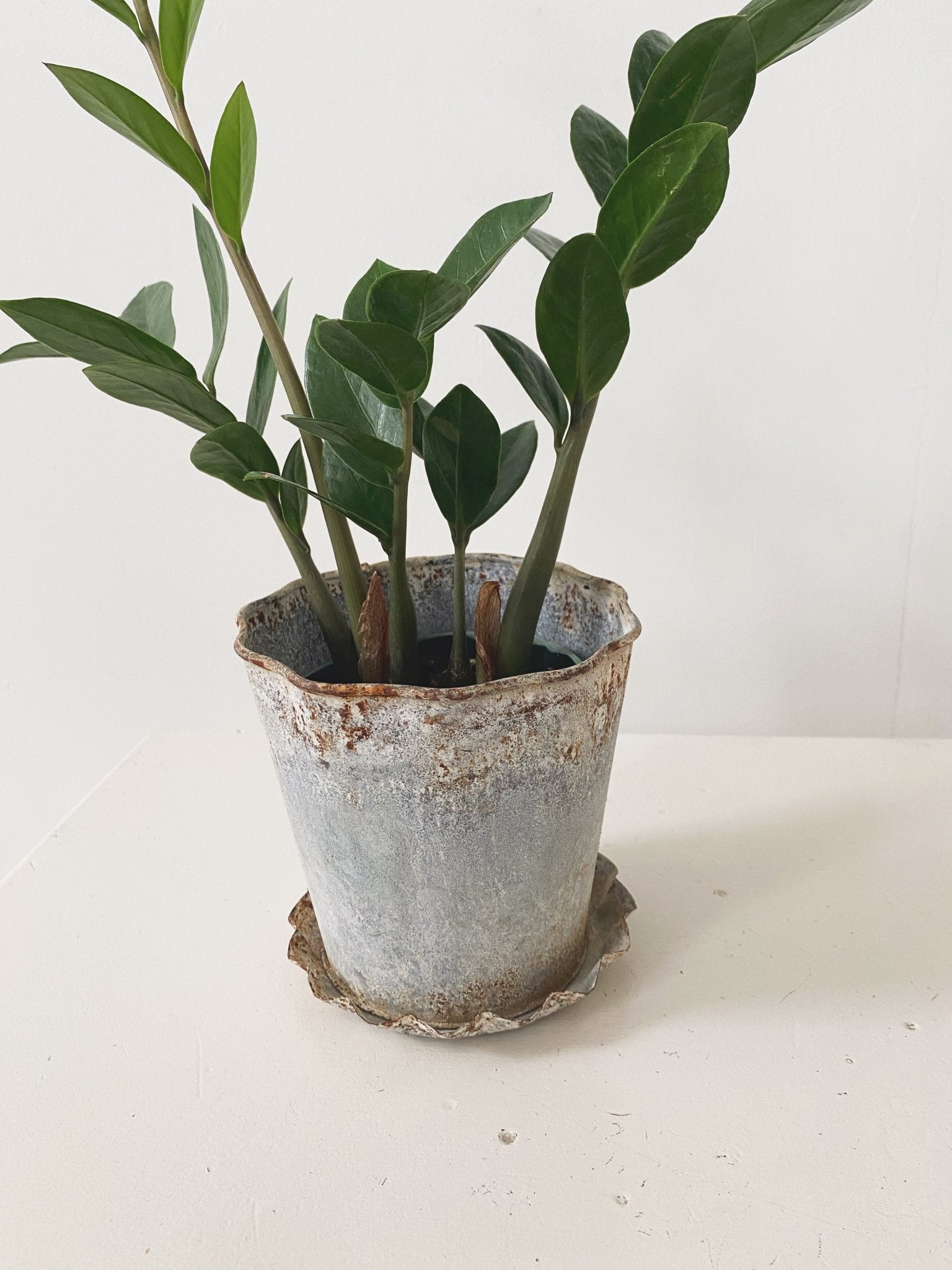 Distressed Metal Planter
