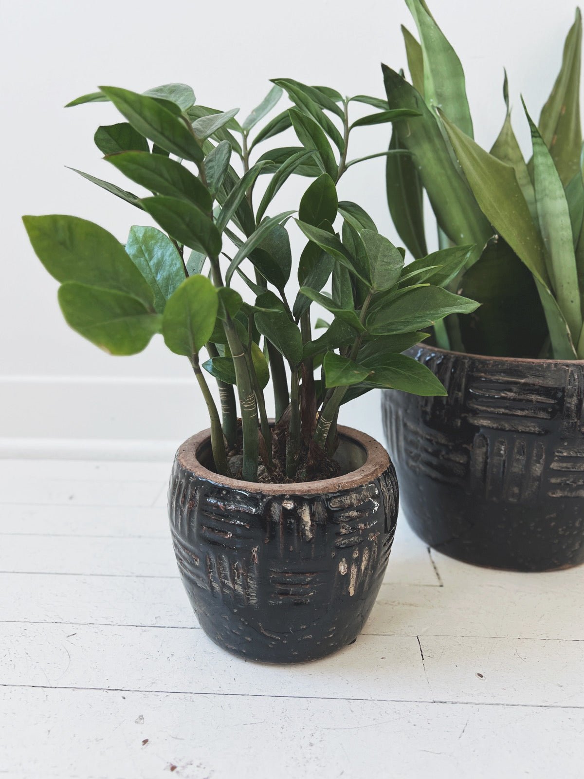 Embossed Terracotta Planter