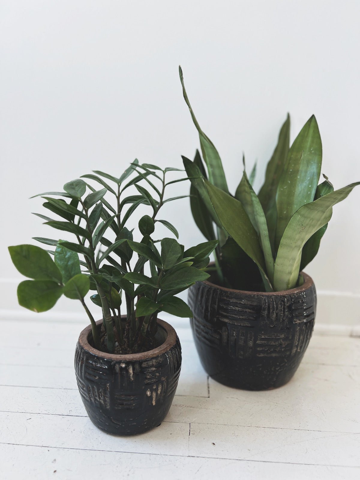 Embossed Terracotta Planter