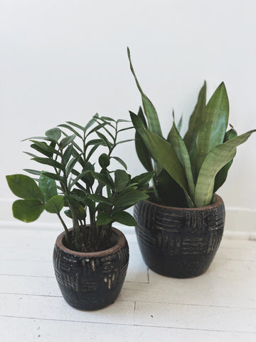 Embossed Terracotta Planter