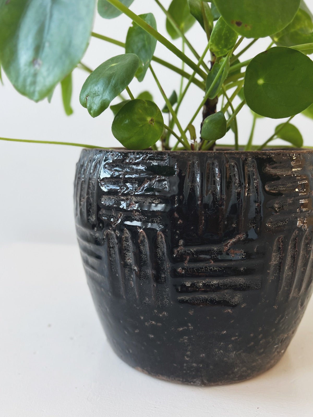 Embossed Terracotta Planter