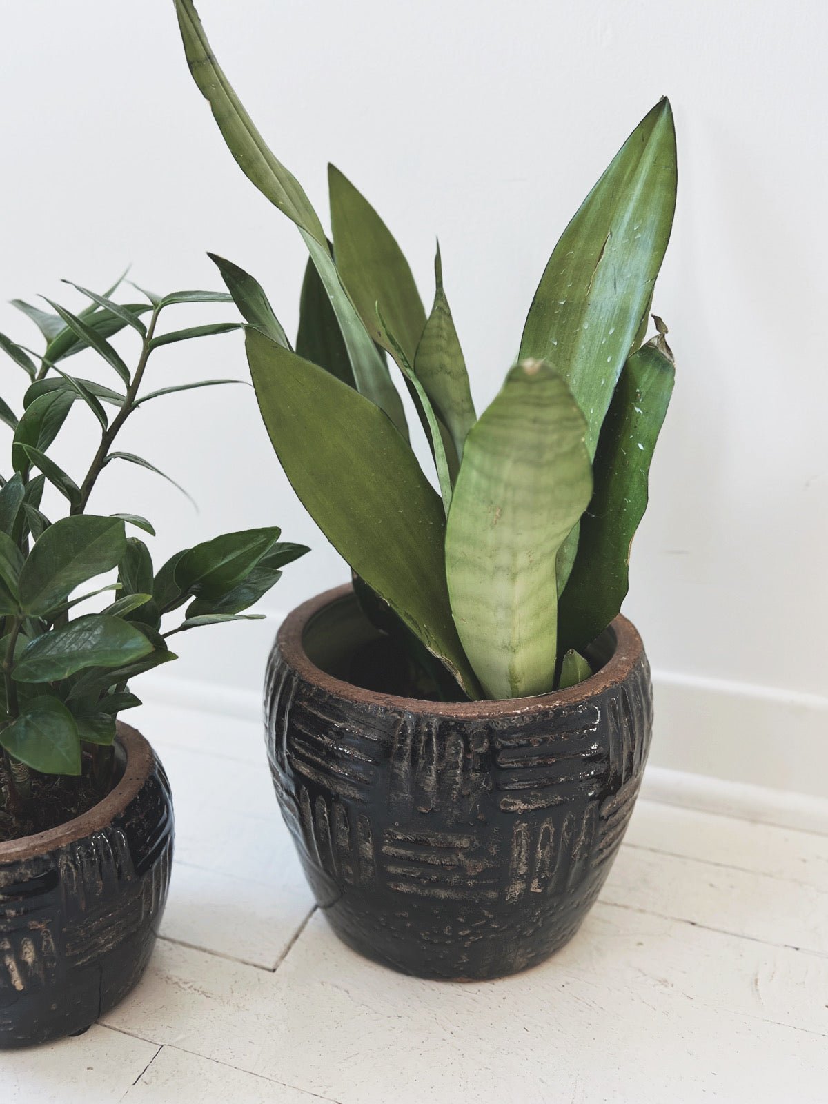 Embossed Terracotta Planter