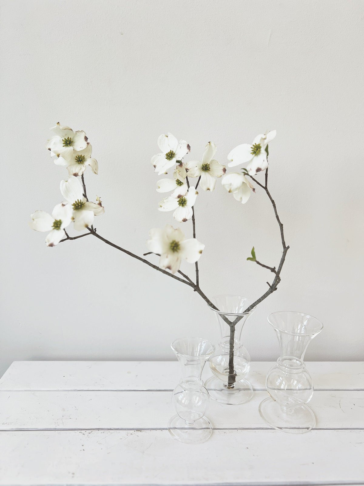 Glass Budvase