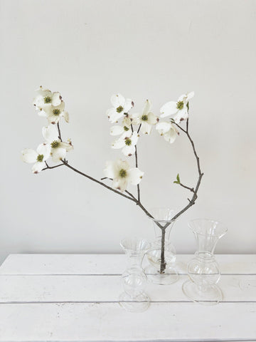 Glass Budvase