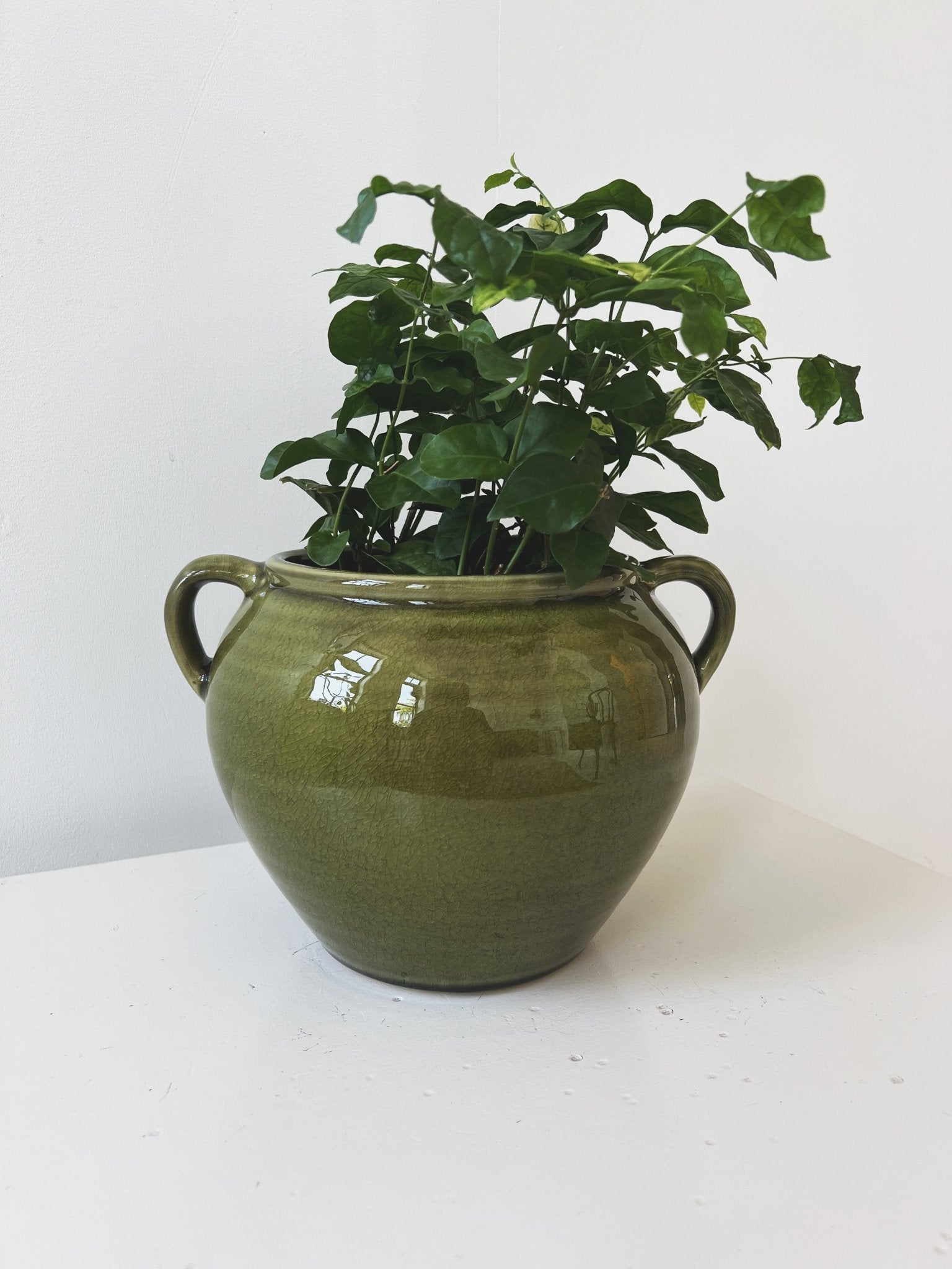 Hand-Painted Terra-cotta Urn