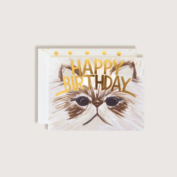 Handsome Cat Birthday