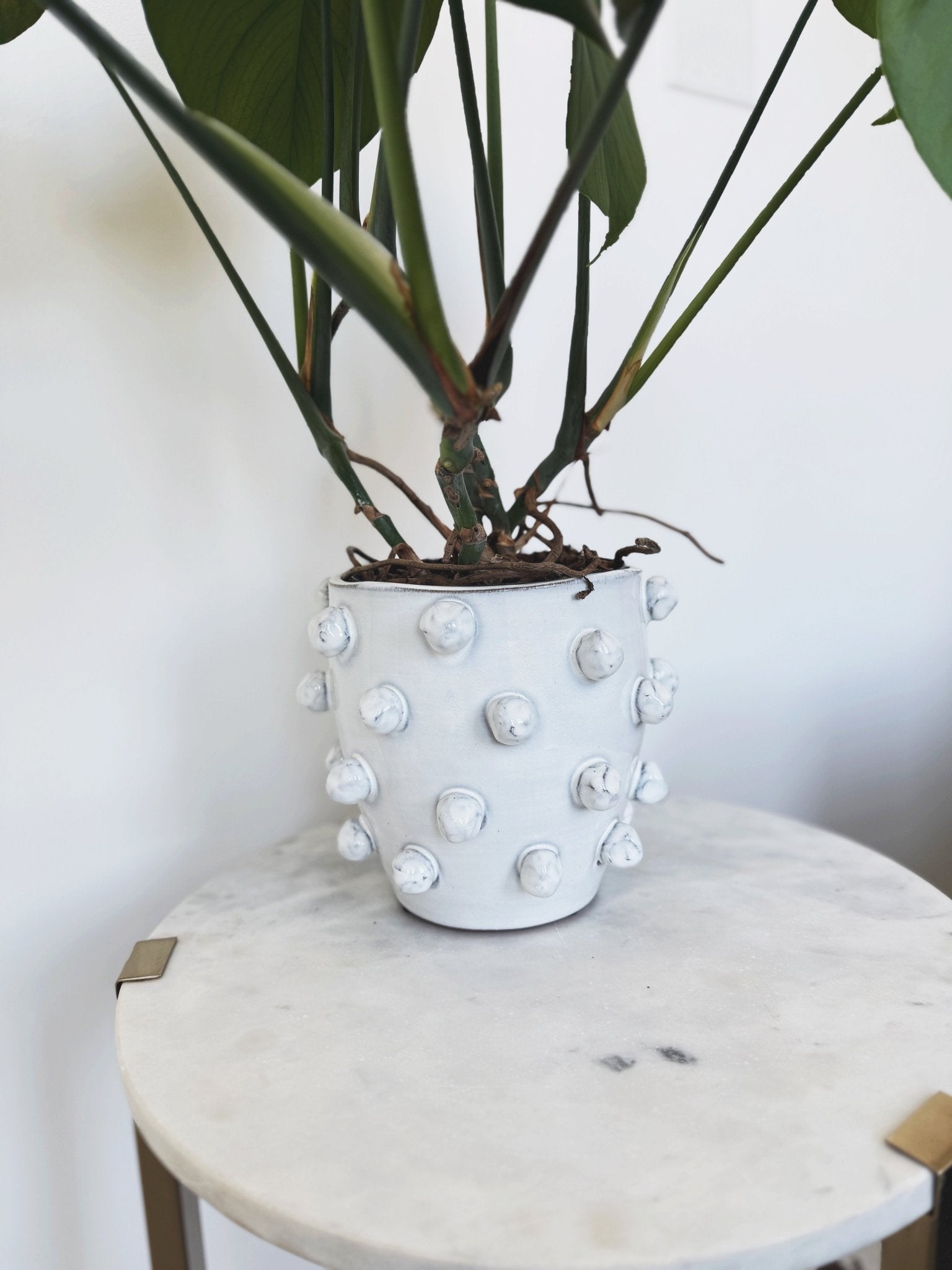 Hobnail Terra-cotta Planter