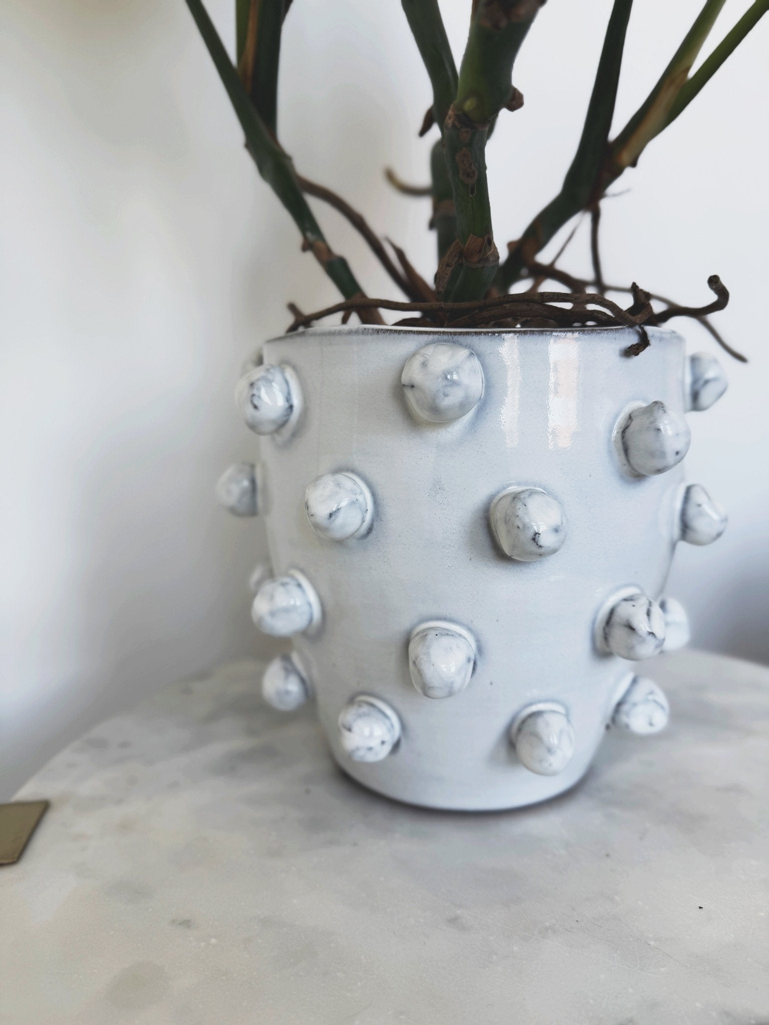 Hobnail Terra-cotta Planter