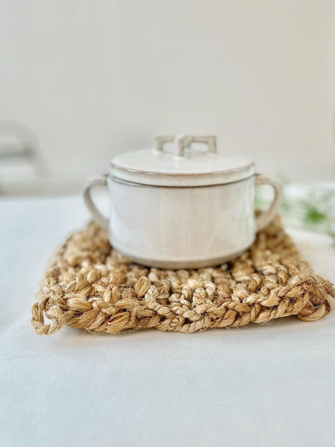 Jute Crocheted Pot Holder