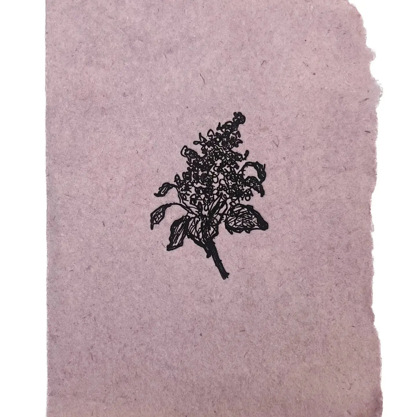 Lilac Branch Card