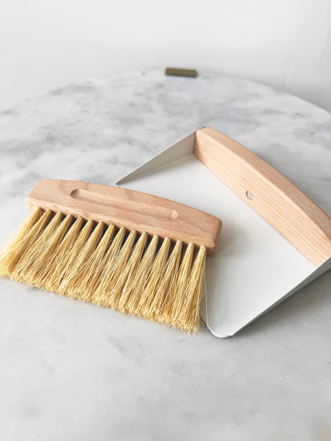 Mini Dustpan and Broom