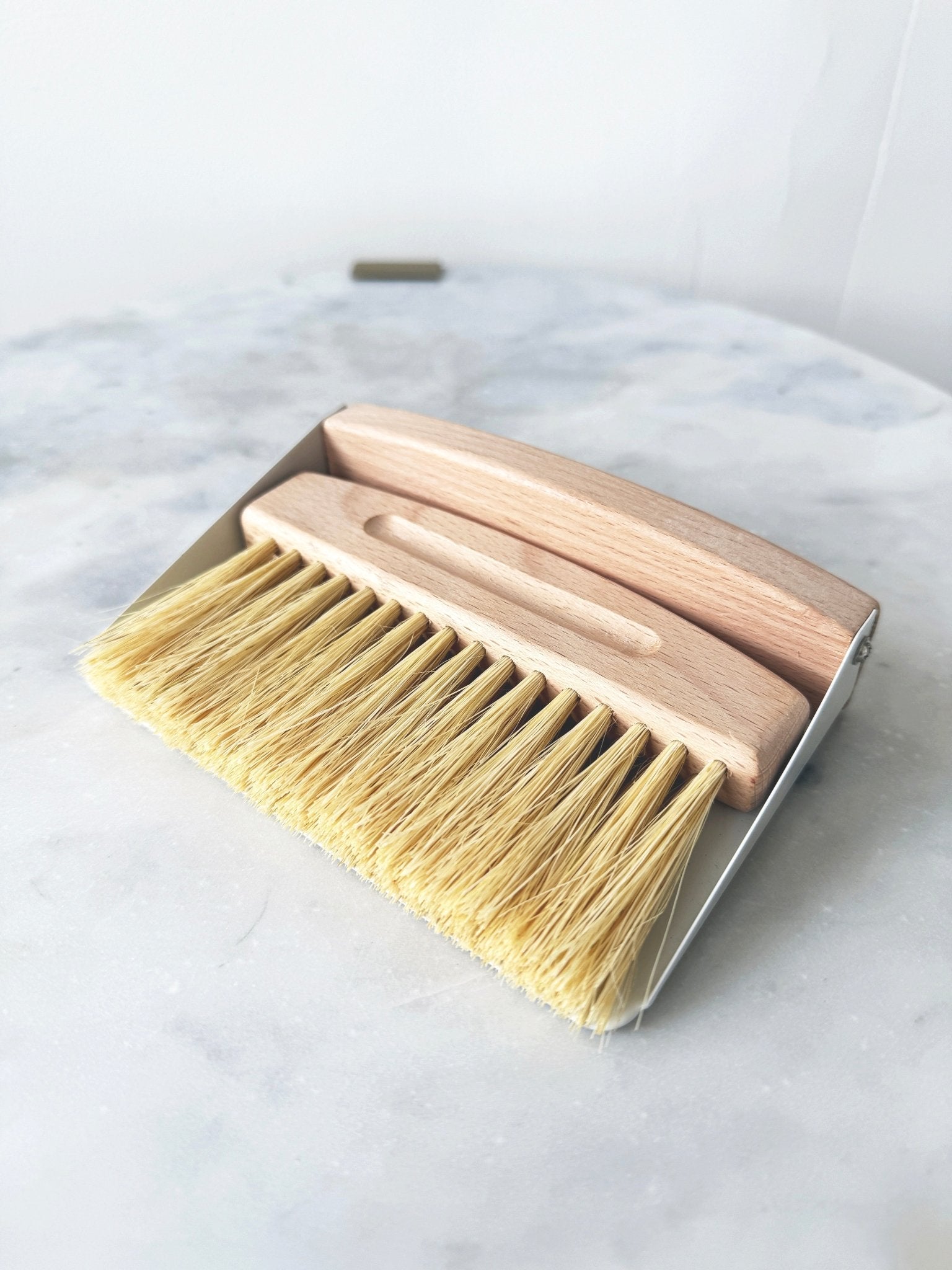 Mini Dustpan and Broom