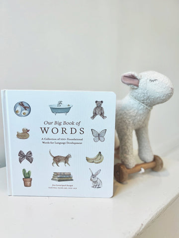 Our Big Book Of First Words