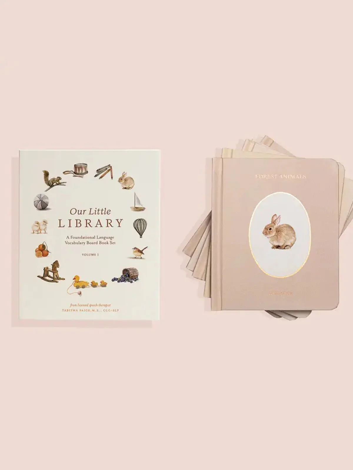 Our Little Library Book Series