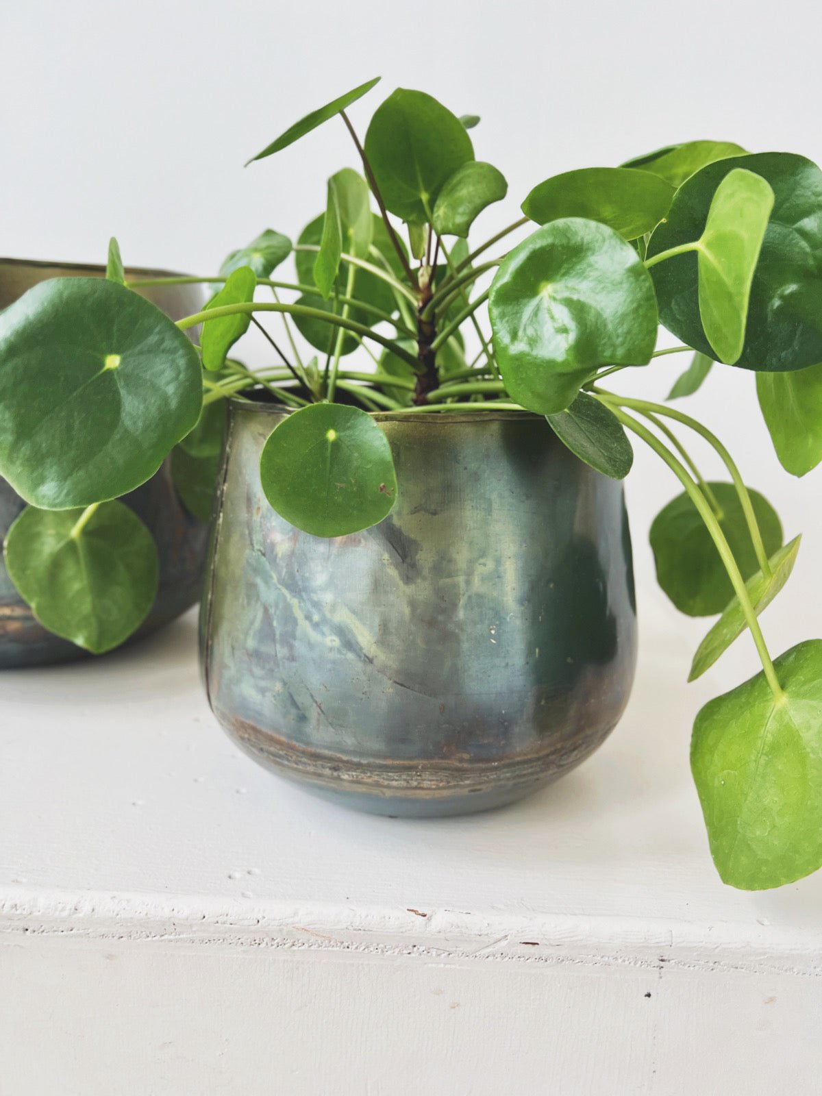 Oxidized Metal Planter