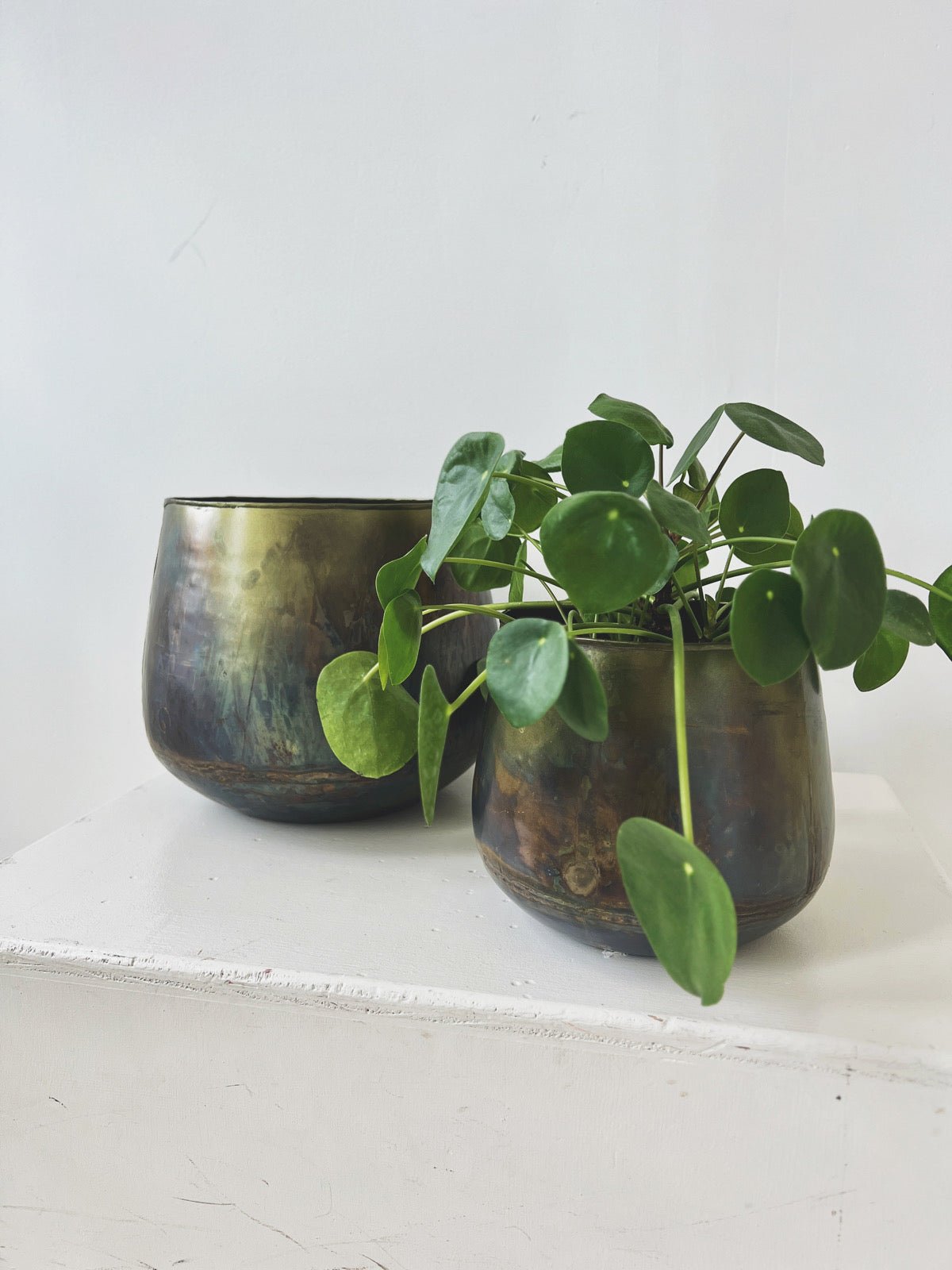 Oxidized Metal Planter