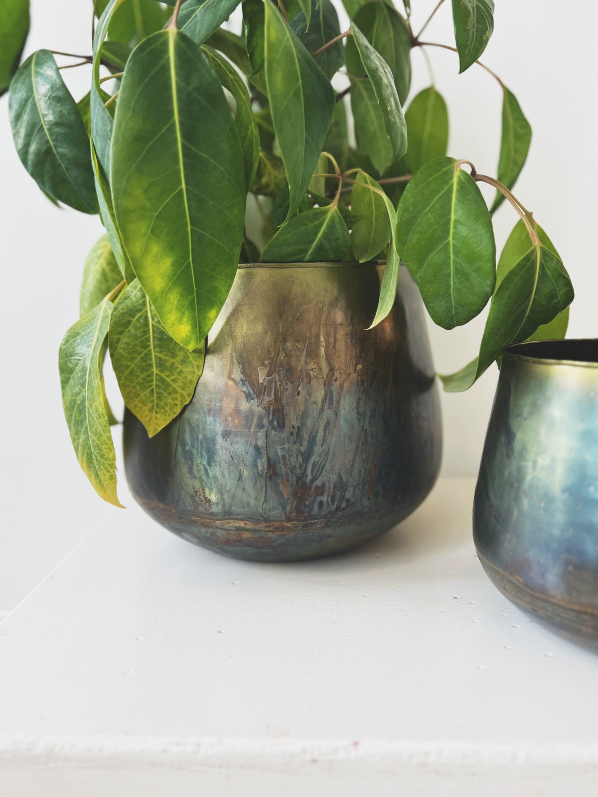 Oxidized Metal Planter