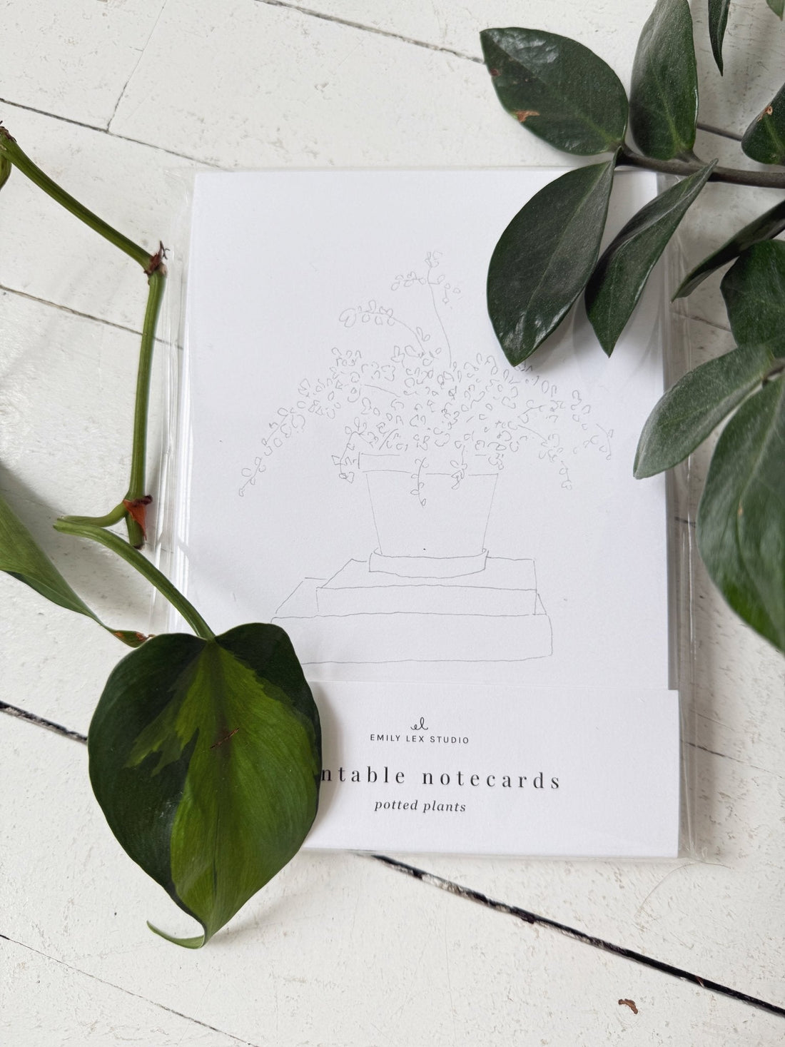 Paintable Notecard Set