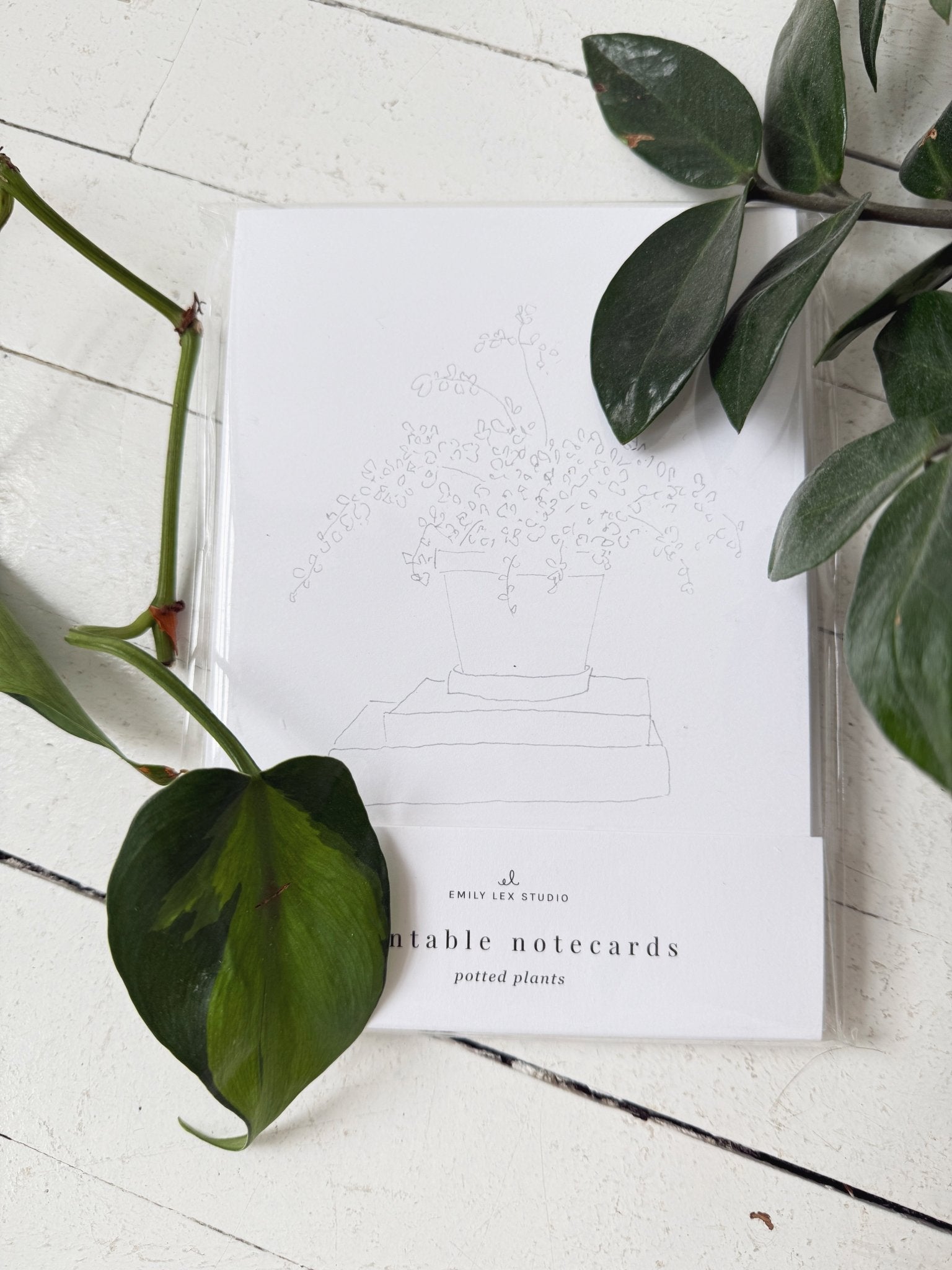 Paintable Notecard Set