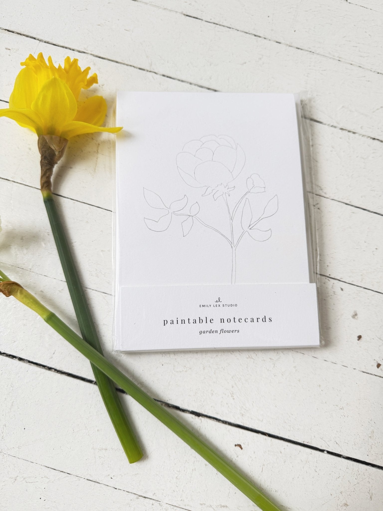Paintable Notecard Set