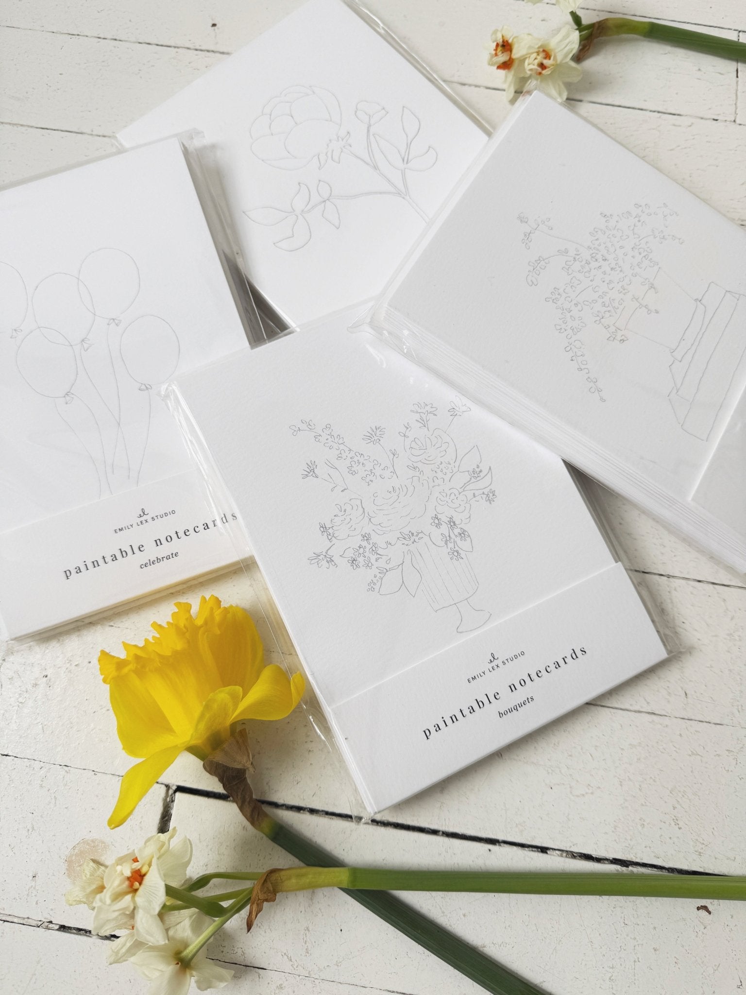 Paintable Notecard Set