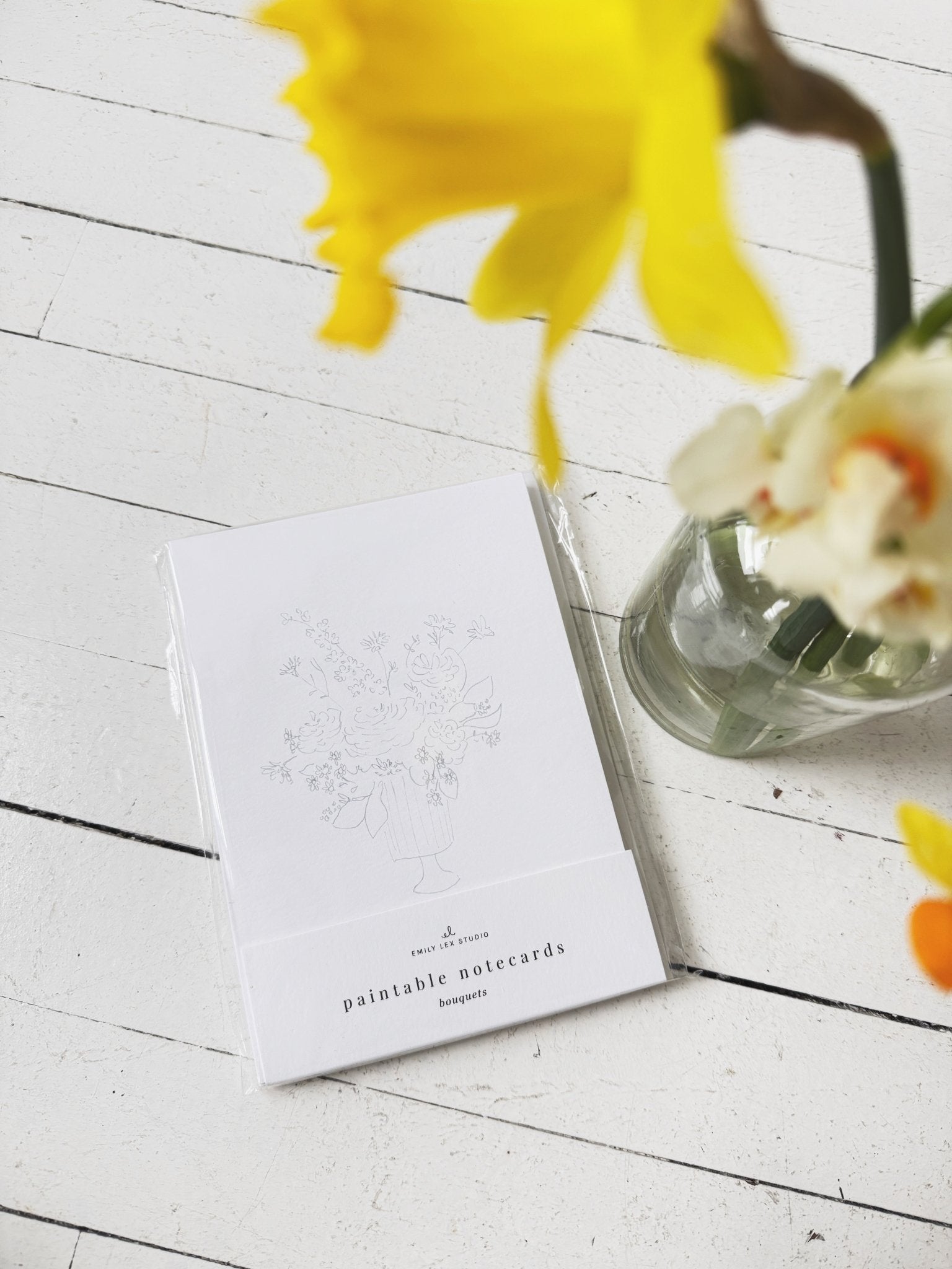 Paintable Notecard Set