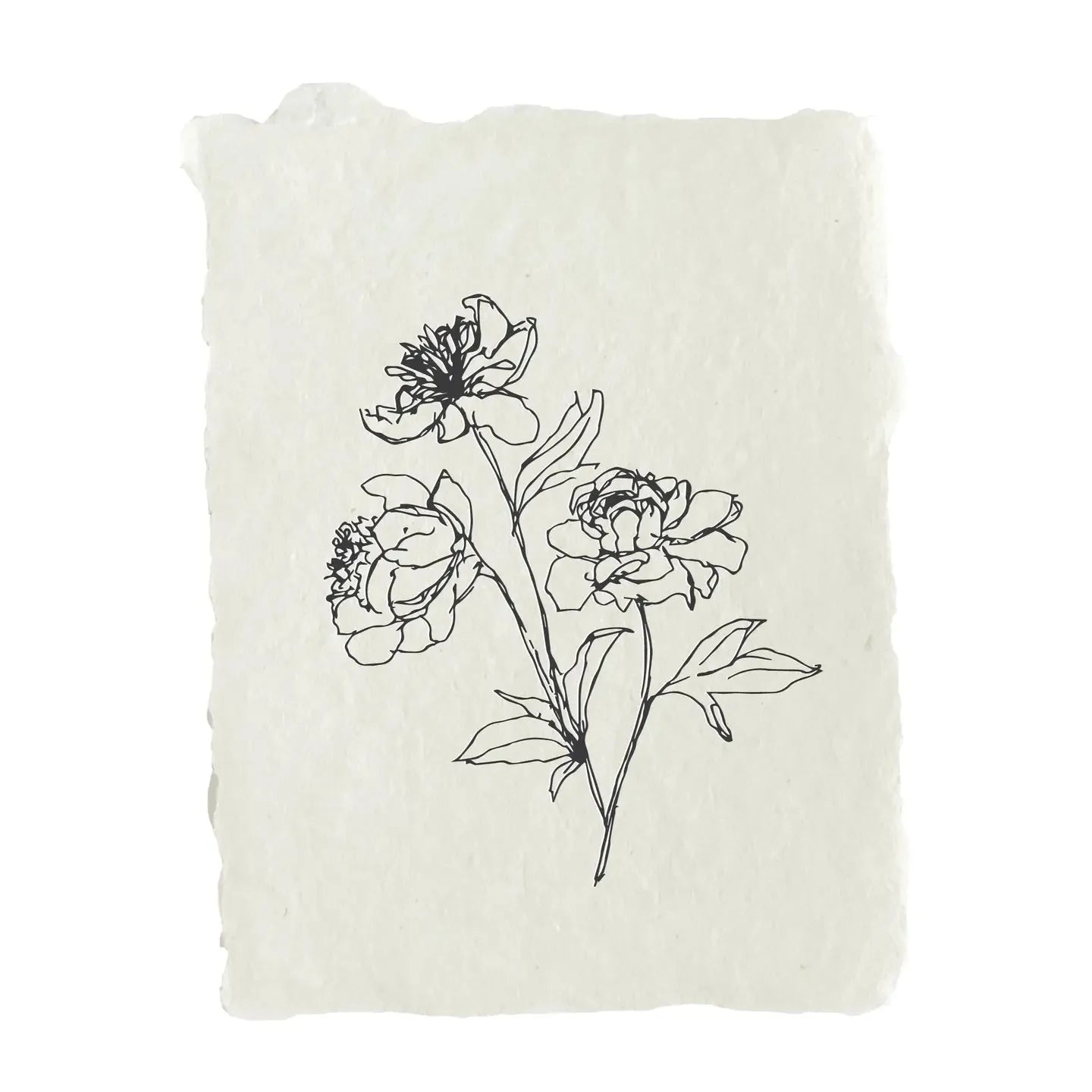 Peony Stems Note Card Set