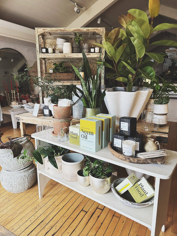 Plant Food Starter Kit