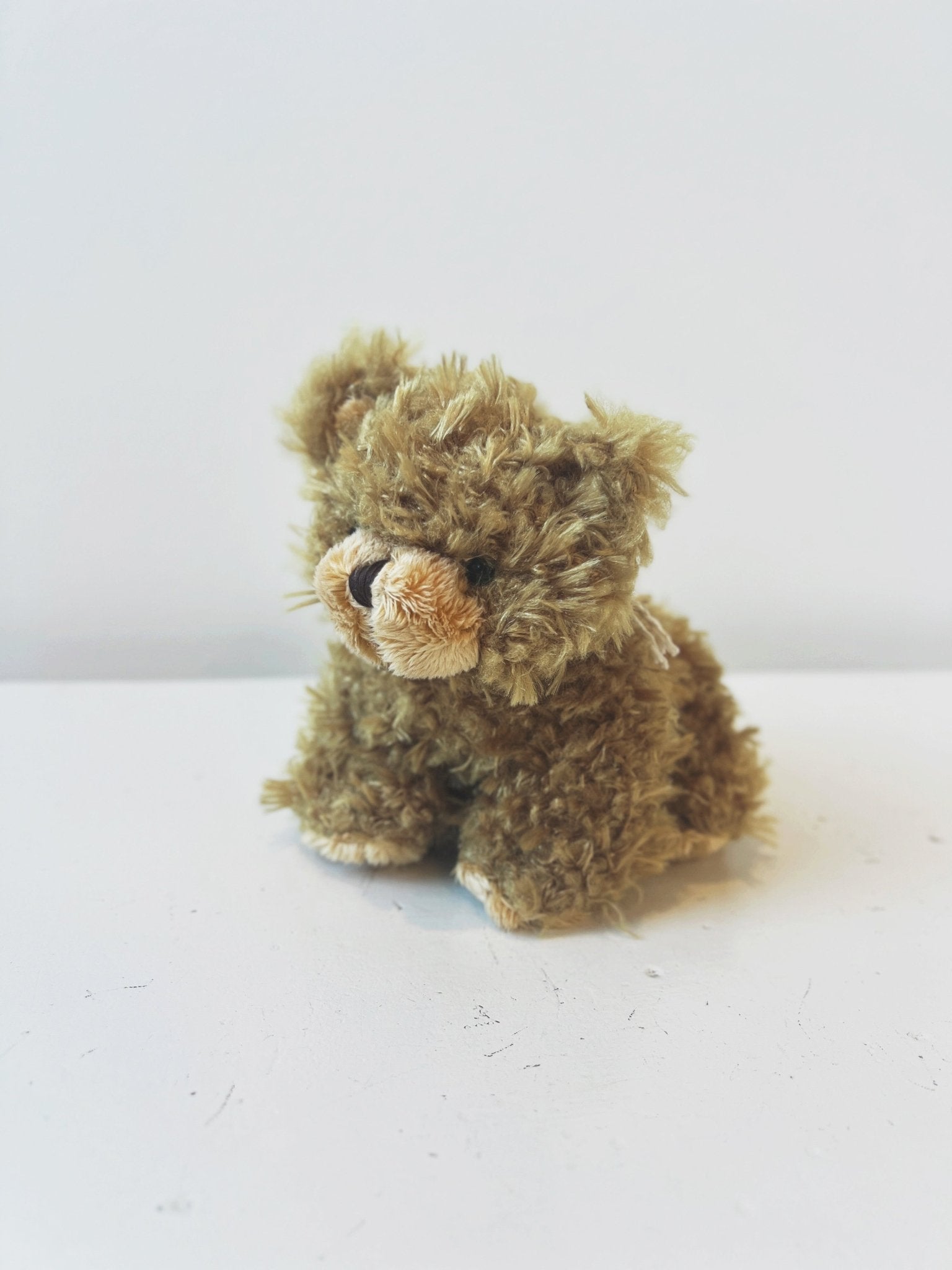 Plush Brown Bear