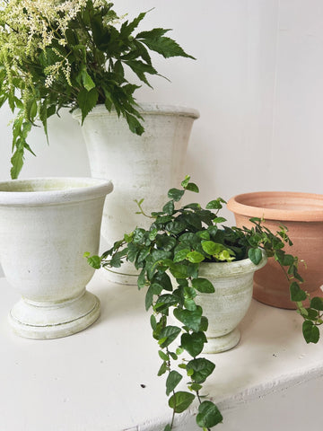 Potier Cachepot