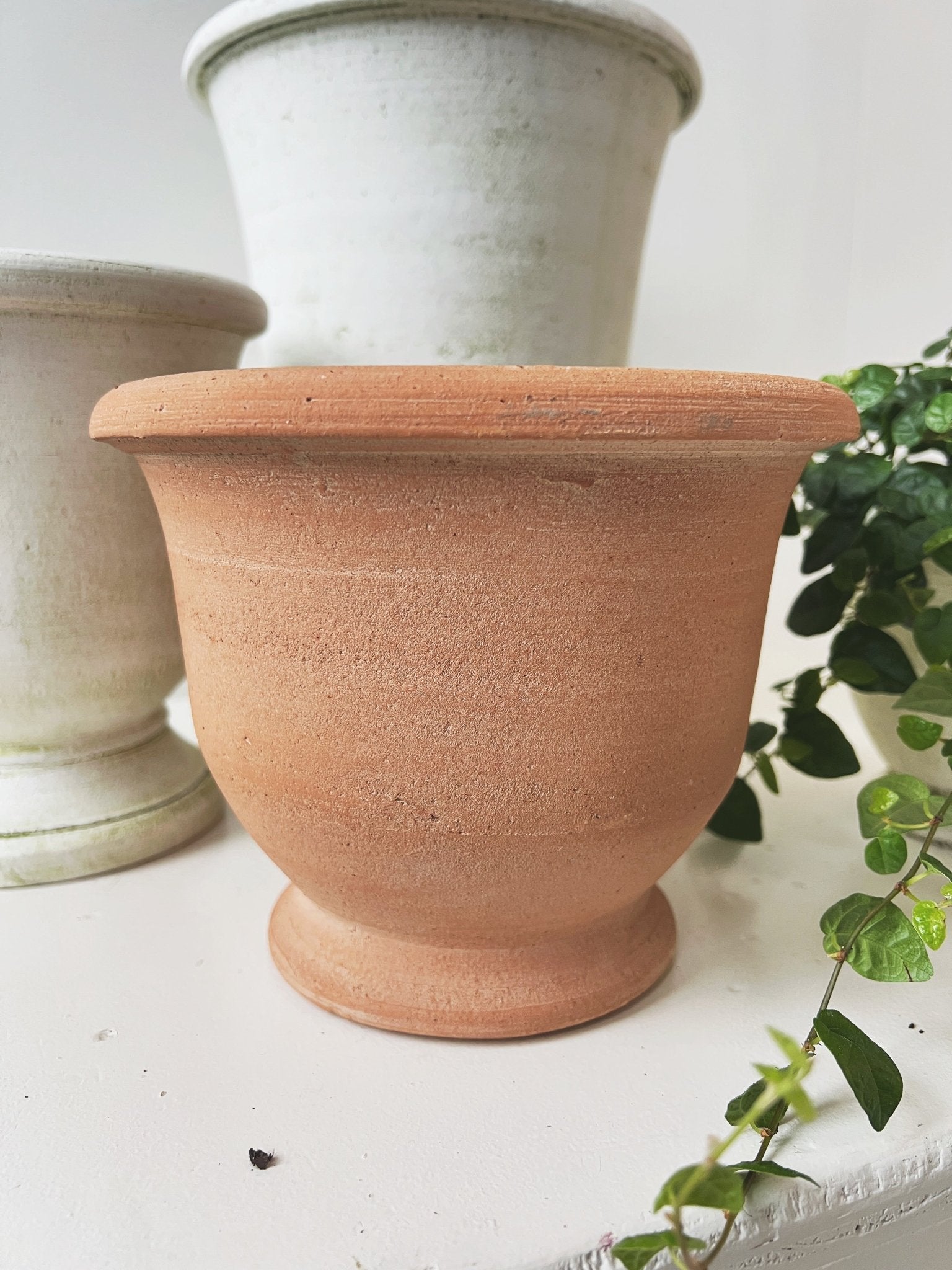 Potier Cachepot