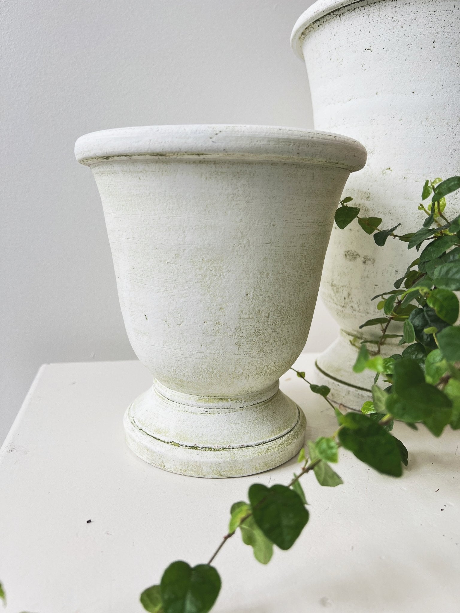 Potier Cachepot