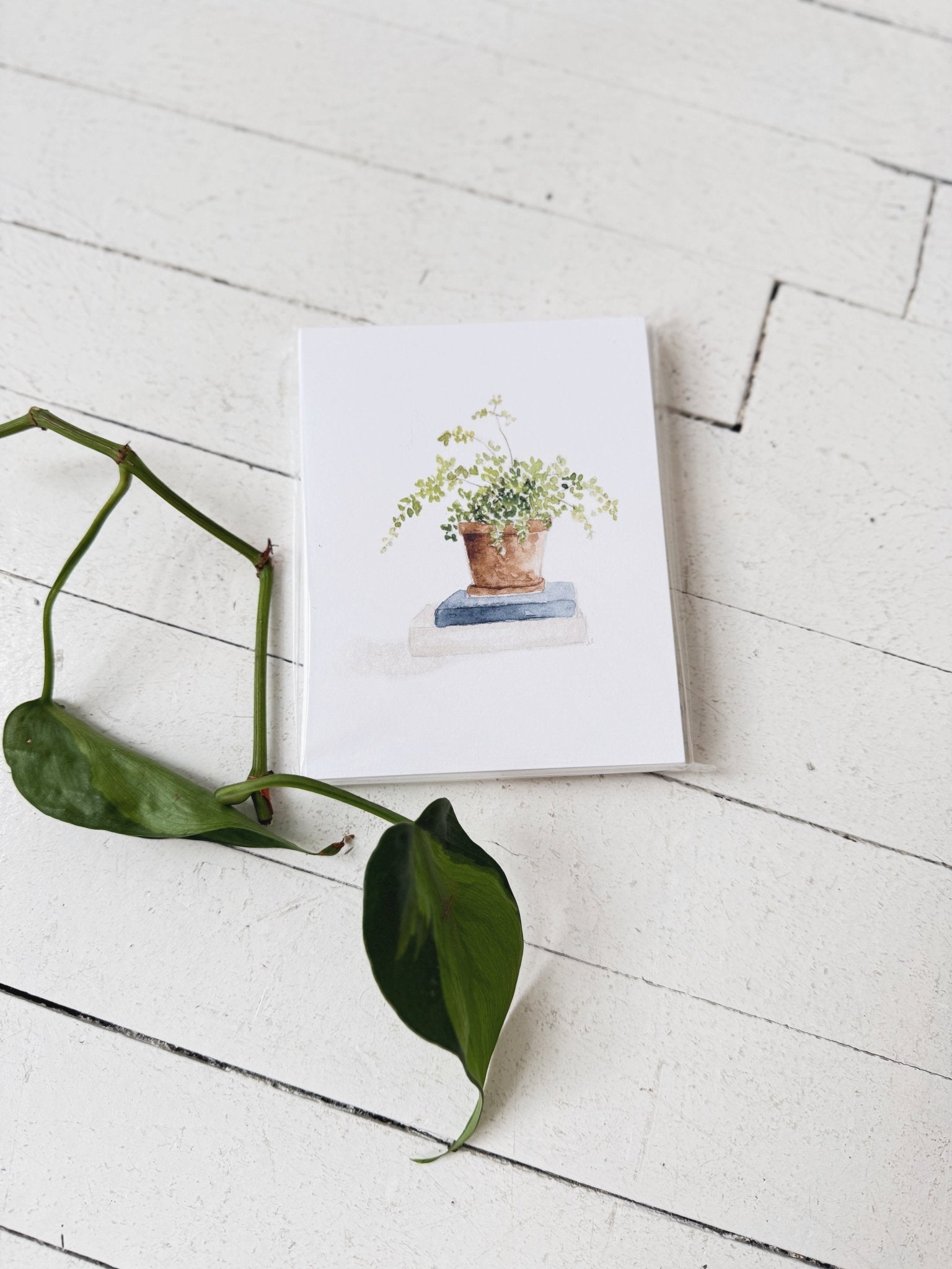 Potted Plants Notecard Set