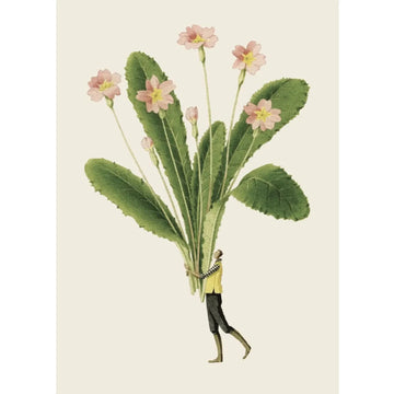 Primrose Card